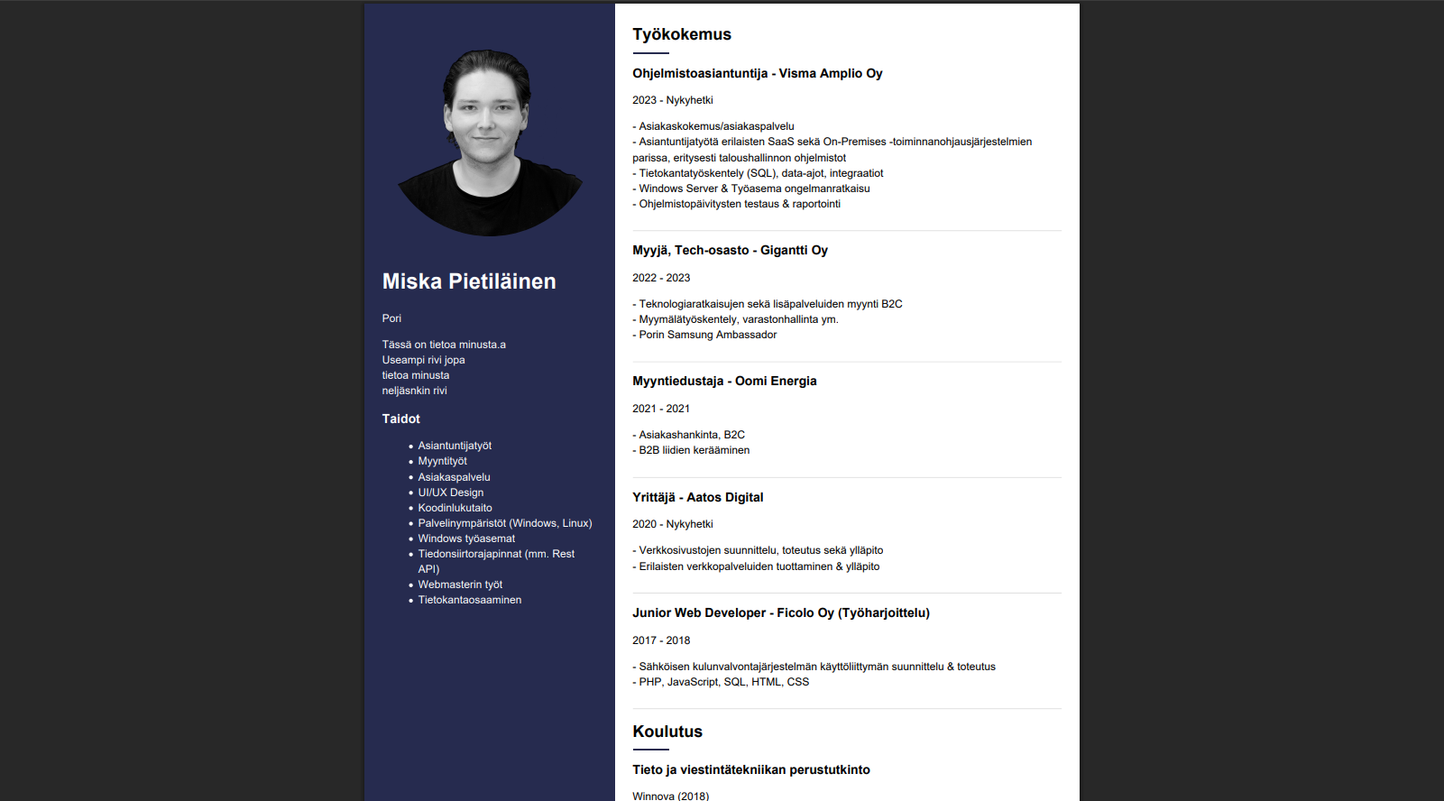 CV-esimerkki teema 1